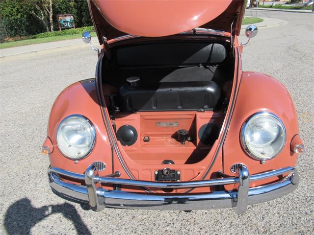 1957 Volkswagen Beetle (CC-2108285) for sale in Simi Valley, California