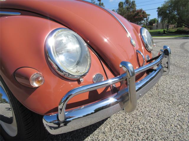 1957 Volkswagen Beetle (CC-2108285) for sale in Simi Valley, California