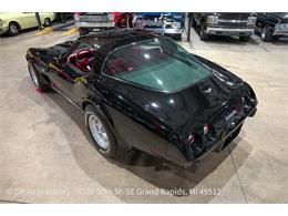 1979 Chevrolet Corvette (CC-2108306) for sale in Kentwood, Michigan
