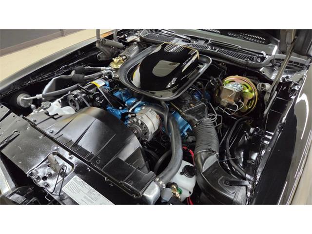 1976 Pontiac Firebird Trans Am SE (CC-2108360) for sale in Mankato, Minnesota