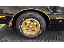 1976 Pontiac Firebird Trans Am SE (CC-2108360) for sale in Mankato, Minnesota