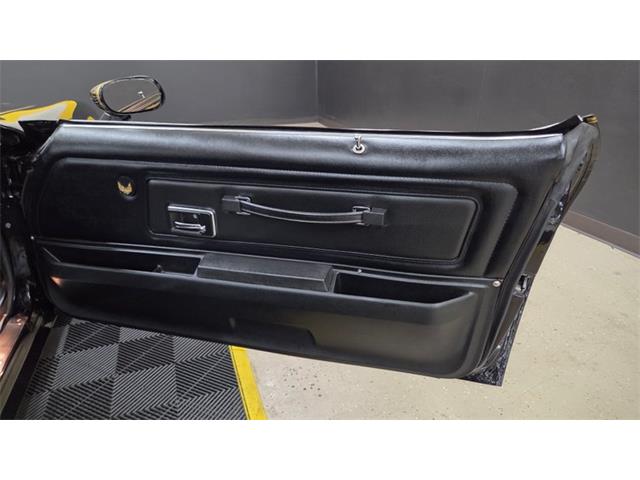 1976 Pontiac Firebird Trans Am SE (CC-2108360) for sale in Mankato, Minnesota
