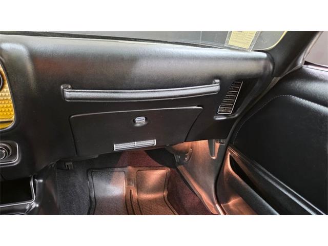 1976 Pontiac Firebird Trans Am SE (CC-2108360) for sale in Mankato, Minnesota
