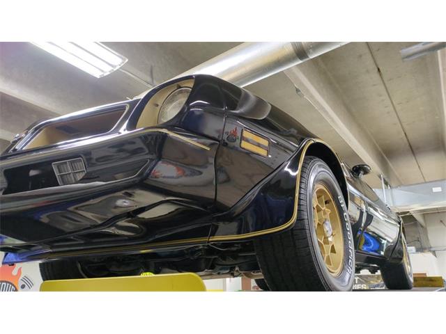 1976 Pontiac Firebird Trans Am SE (CC-2108360) for sale in Mankato, Minnesota