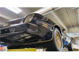 1976 Pontiac Firebird Trans Am SE (CC-2108360) for sale in Mankato, Minnesota