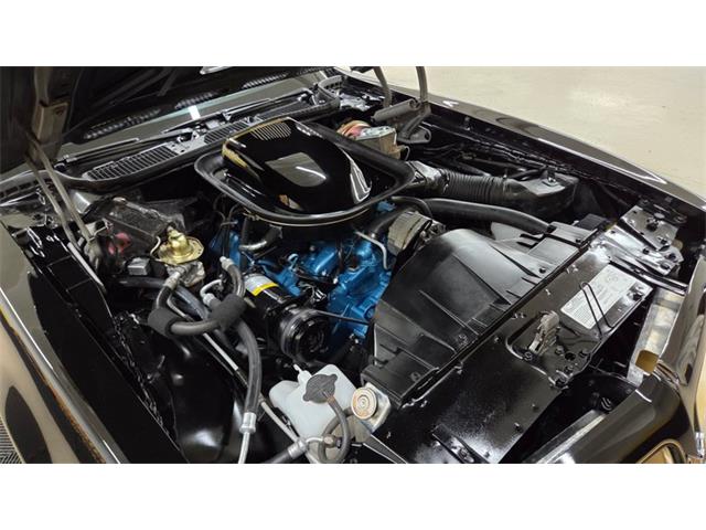 1976 Pontiac Firebird Trans Am SE (CC-2108360) for sale in Mankato, Minnesota