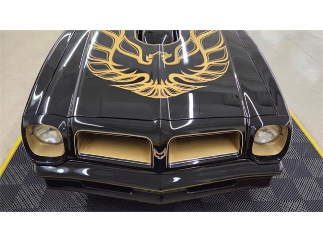 1976 Pontiac Firebird Trans Am SE (CC-2108360) for sale in Mankato, Minnesota