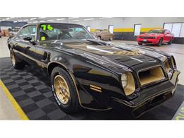 1976 Pontiac Firebird Trans Am SE (CC-2108360) for sale in Mankato, Minnesota
