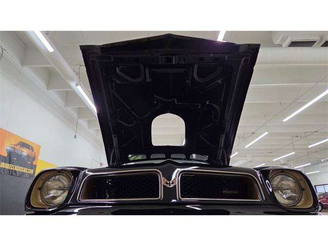 1976 Pontiac Firebird Trans Am SE (CC-2108360) for sale in Mankato, Minnesota