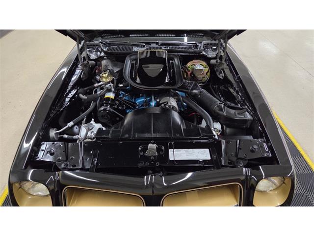 1976 Pontiac Firebird Trans Am SE (CC-2108360) for sale in Mankato, Minnesota