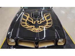 1976 Pontiac Firebird Trans Am SE (CC-2108360) for sale in Mankato, Minnesota