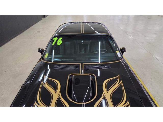1976 Pontiac Firebird Trans Am SE (CC-2108360) for sale in Mankato, Minnesota