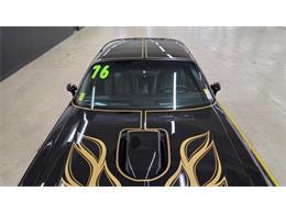 1976 Pontiac Firebird Trans Am SE (CC-2108360) for sale in Mankato, Minnesota