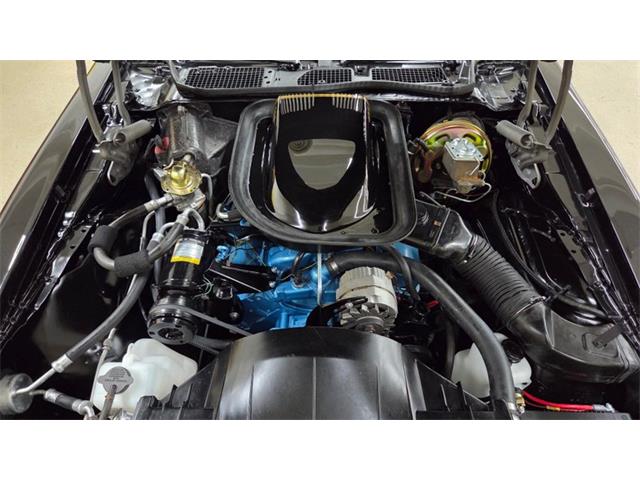 1976 Pontiac Firebird Trans Am SE (CC-2108360) for sale in Mankato, Minnesota