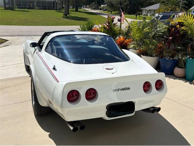 1982 Chevrolet Corvette (CC-2108385) for sale in Cadillac, Michigan