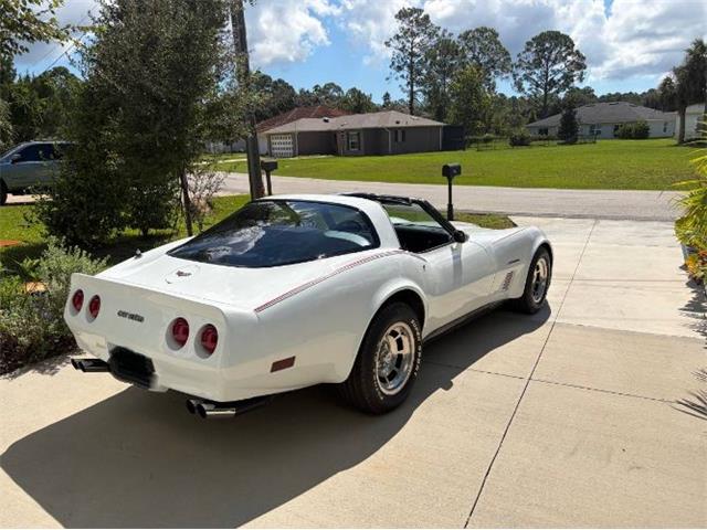 1982 Chevrolet Corvette (CC-2108385) for sale in Cadillac, Michigan