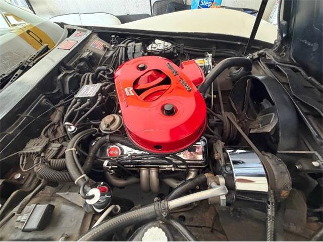 1982 Chevrolet Corvette (CC-2108385) for sale in Cadillac, Michigan