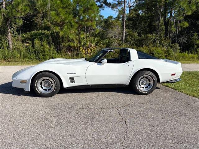 1982 Chevrolet Corvette (CC-2108385) for sale in Cadillac, Michigan