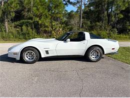 1982 Chevrolet Corvette (CC-2108385) for sale in Cadillac, Michigan