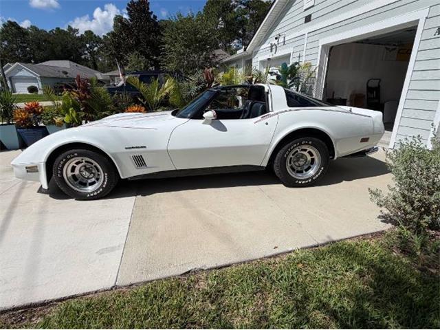 1982 Chevrolet Corvette (CC-2108385) for sale in Cadillac, Michigan
