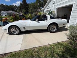 1982 Chevrolet Corvette (CC-2108385) for sale in Cadillac, Michigan