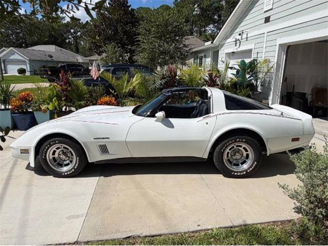 1982 Chevrolet Corvette (CC-2108385) for sale in Cadillac, Michigan