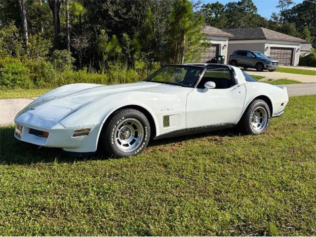 1982 Chevrolet Corvette (CC-2108385) for sale in Cadillac, Michigan