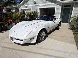 1982 Chevrolet Corvette (CC-2108385) for sale in Cadillac, Michigan