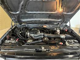 1994 Ford Bronco (CC-2108394) for sale in Cadillac, Michigan