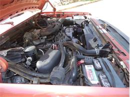 1995 Ford F250 (CC-2108402) for sale in Palmetto, Florida