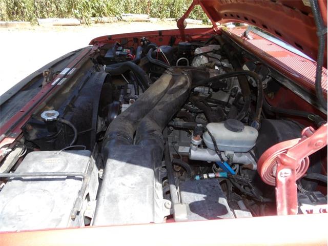 1995 Ford F250 (CC-2108402) for sale in Palmetto, Florida