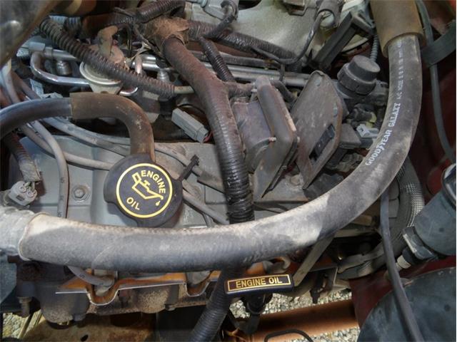 1995 Ford F250 (CC-2108402) for sale in Palmetto, Florida