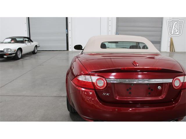 2008 Jaguar XK (CC-2108419) for sale in Las Vegas, Nevada