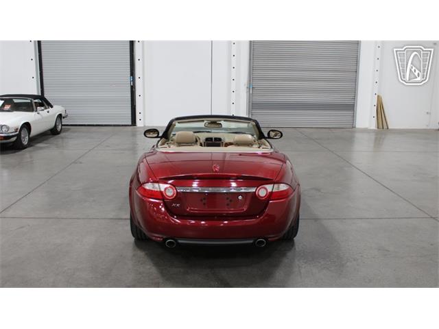 2008 Jaguar XK (CC-2108419) for sale in Las Vegas, Nevada