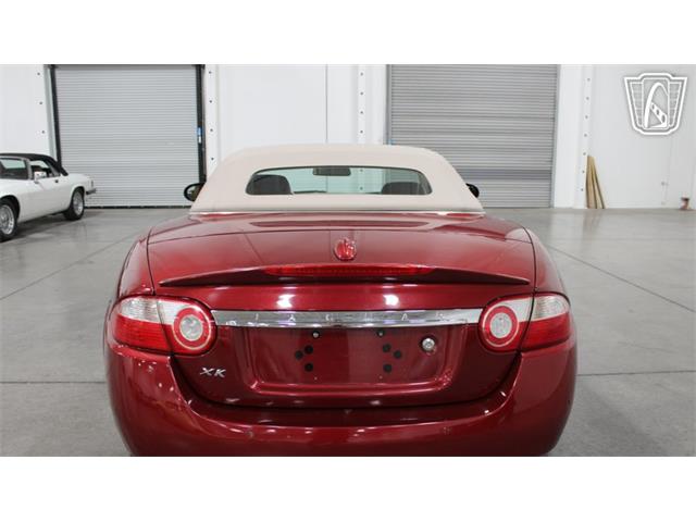 2008 Jaguar XK (CC-2108419) for sale in Las Vegas, Nevada