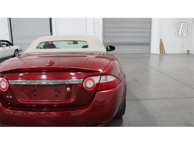 2008 Jaguar XK (CC-2108419) for sale in Las Vegas, Nevada