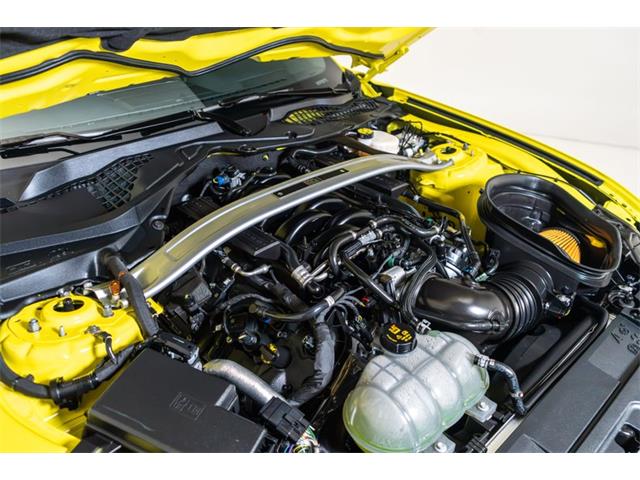 2021 Ford Mustang (CC-2108477) for sale in Fort Lauderdale, Florida