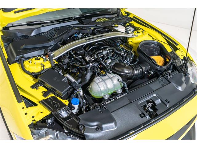 2021 Ford Mustang (CC-2108477) for sale in Fort Lauderdale, Florida