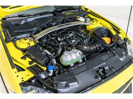 2021 Ford Mustang (CC-2108477) for sale in Fort Lauderdale, Florida