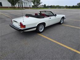 1989 Jaguar XJS (CC-2100849) for sale in Saratoga Springs, New York