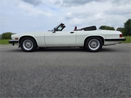 1989 Jaguar XJS (CC-2100849) for sale in Saratoga Springs, New York