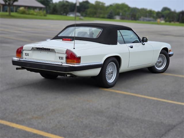 1989 Jaguar XJS (CC-2100849) for sale in Saratoga Springs, New York