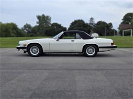1989 Jaguar XJS (CC-2100849) for sale in Saratoga Springs, New York