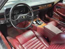 1989 Jaguar XJS (CC-2100849) for sale in Saratoga Springs, New York