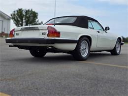 1989 Jaguar XJS (CC-2100849) for sale in Saratoga Springs, New York