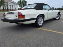 1989 Jaguar XJS (CC-2100849) for sale in Saratoga Springs, New York