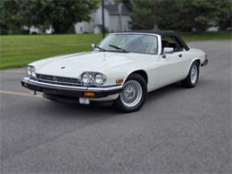 1989 Jaguar XJS (CC-2100849) for sale in Saratoga Springs, New York