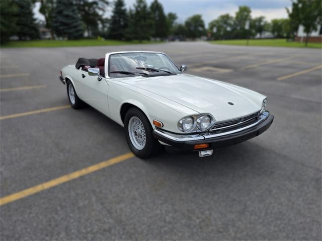 1989 Jaguar XJS (CC-2100849) for sale in Saratoga Springs, New York