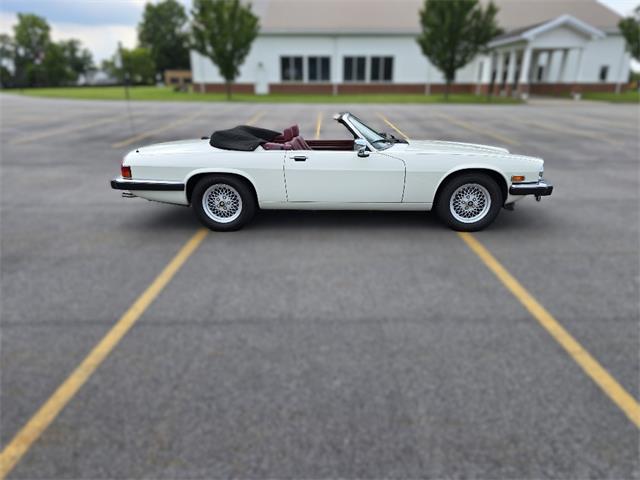 1989 Jaguar XJS (CC-2100849) for sale in Saratoga Springs, New York