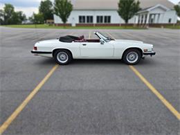 1989 Jaguar XJS (CC-2100849) for sale in Saratoga Springs, New York